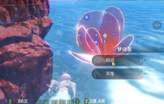 妄想山海南海经任务流程