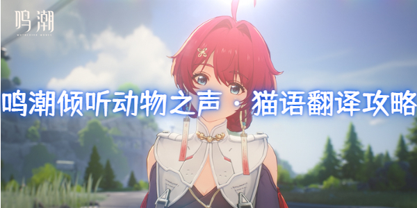 鸣潮倾听动物之声猫语翻译攻略