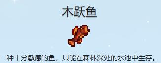 游侠网6
