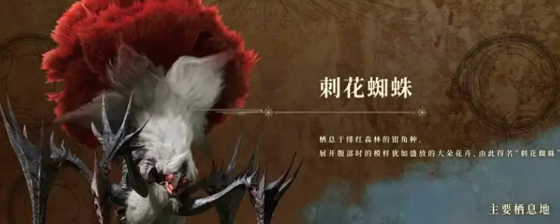 《怪物猎人：荒野》刺花蜘蛛弱点介绍