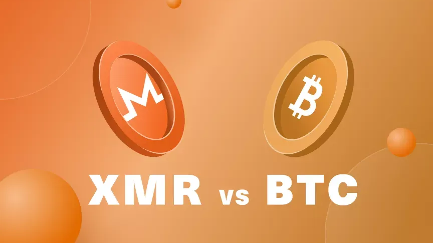  门罗币（XMR）与比特币（BTC）：比较分析
