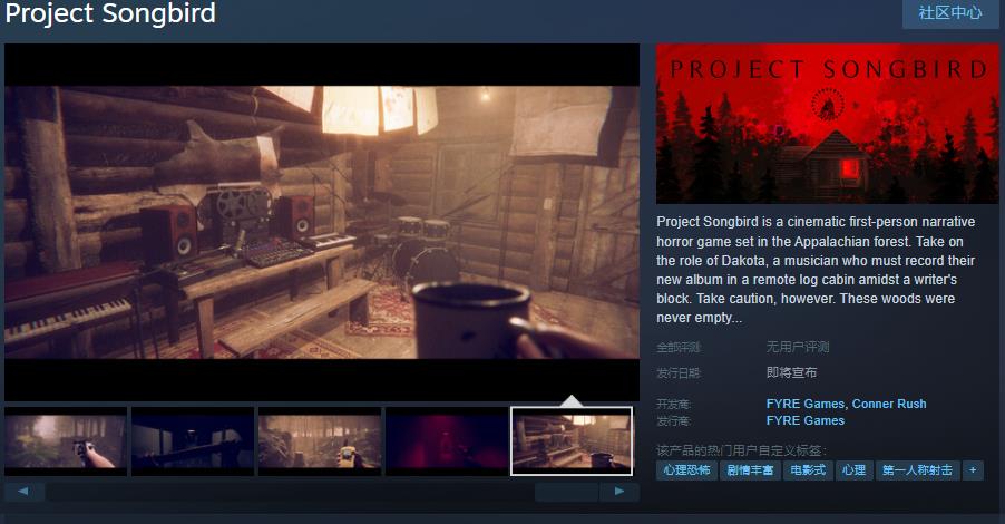 心理恐怖游戏《Project Songbird》Steam页面开放
