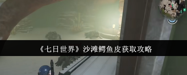 七日世界沙滩鳄鱼皮获取攻略