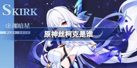 原神丝柯克角色介绍