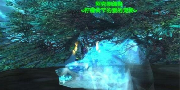 《魔兽世界》诺森德猎人稀有宠物一览