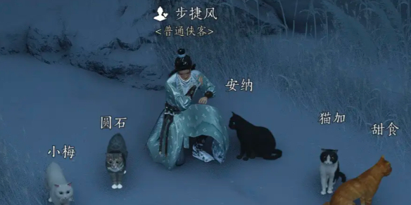 《燕云十六声》步捷风对话结交攻略